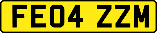 FE04ZZM