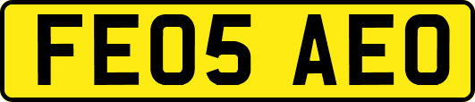 FE05AEO