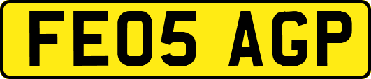 FE05AGP