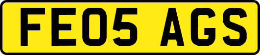 FE05AGS