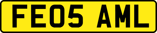 FE05AML