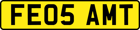 FE05AMT