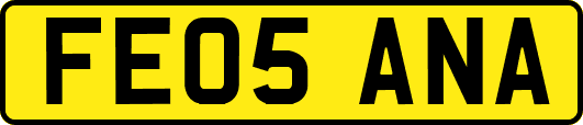 FE05ANA