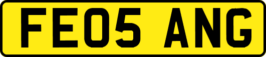 FE05ANG