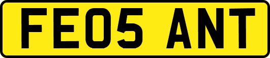 FE05ANT