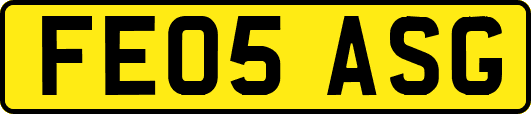 FE05ASG