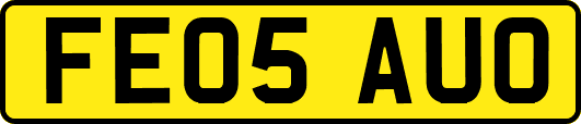 FE05AUO