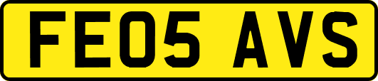 FE05AVS