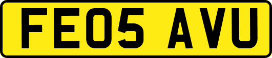 FE05AVU