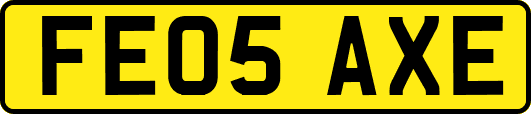 FE05AXE