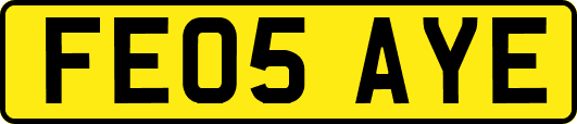 FE05AYE