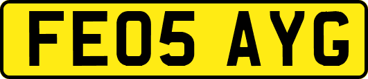 FE05AYG