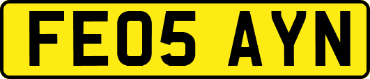 FE05AYN