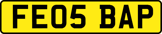 FE05BAP