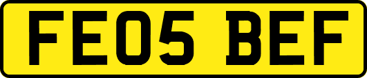 FE05BEF