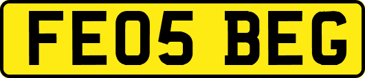 FE05BEG