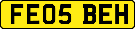 FE05BEH