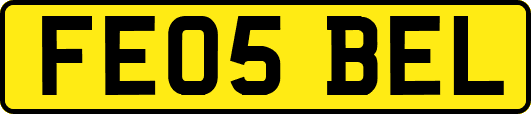 FE05BEL