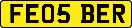 FE05BER
