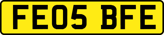 FE05BFE