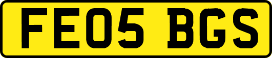 FE05BGS