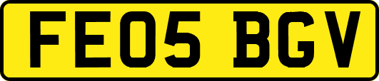 FE05BGV
