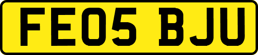 FE05BJU