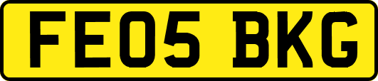FE05BKG