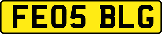 FE05BLG