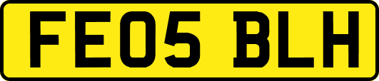 FE05BLH