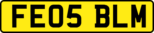 FE05BLM