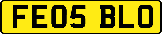 FE05BLO