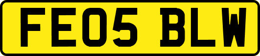 FE05BLW