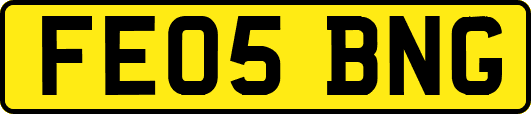 FE05BNG