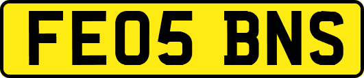 FE05BNS