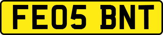 FE05BNT