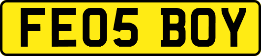 FE05BOY