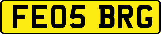 FE05BRG