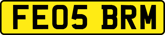 FE05BRM