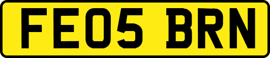 FE05BRN