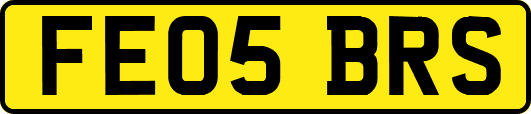 FE05BRS