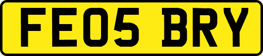 FE05BRY