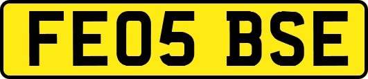 FE05BSE