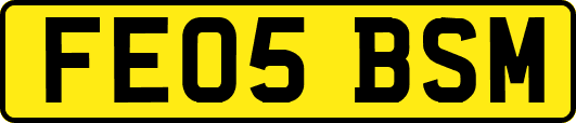 FE05BSM