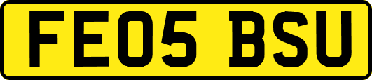FE05BSU