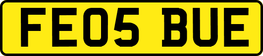 FE05BUE