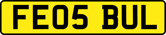 FE05BUL