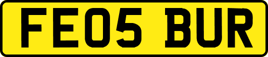 FE05BUR