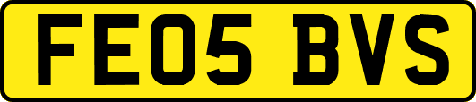 FE05BVS