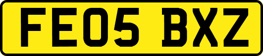 FE05BXZ